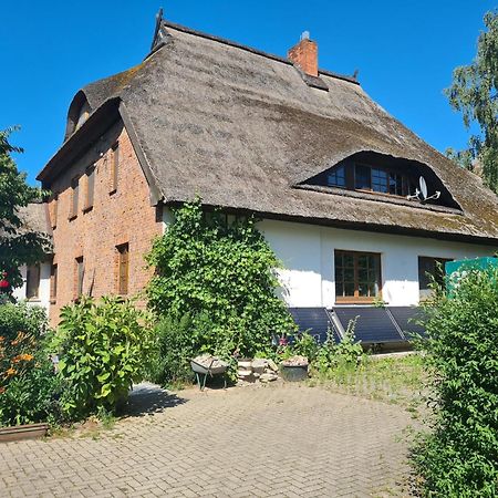 Renovated Apartment In The Old Farmhouse Krusenhagen エクステリア 写真