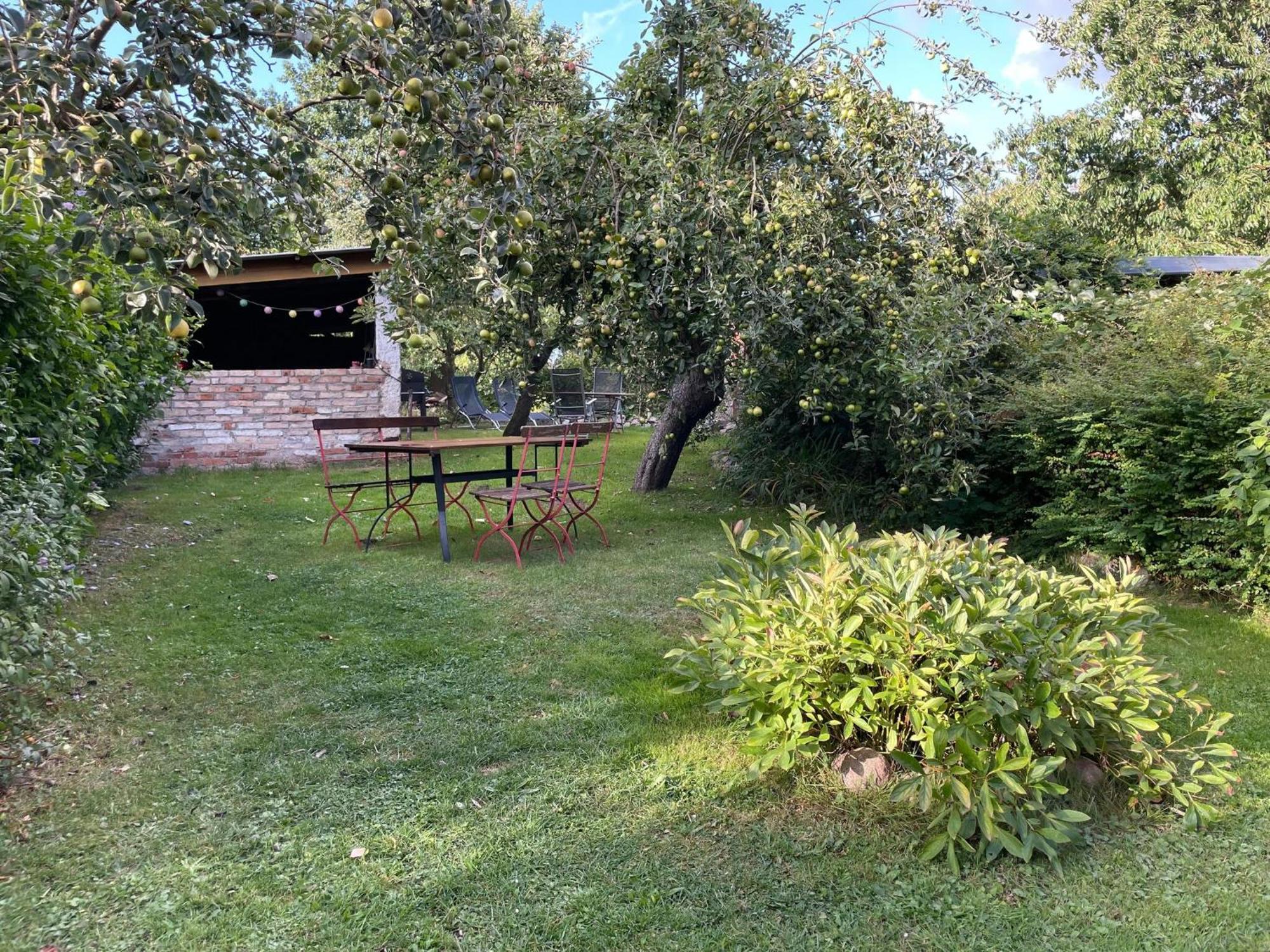 Renovated Apartment In The Old Farmhouse Krusenhagen エクステリア 写真